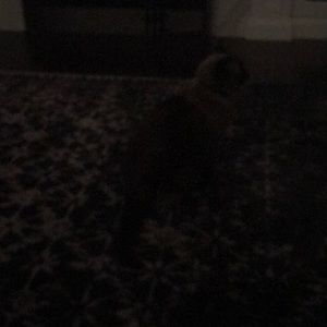 Meet your Posher, Nathan